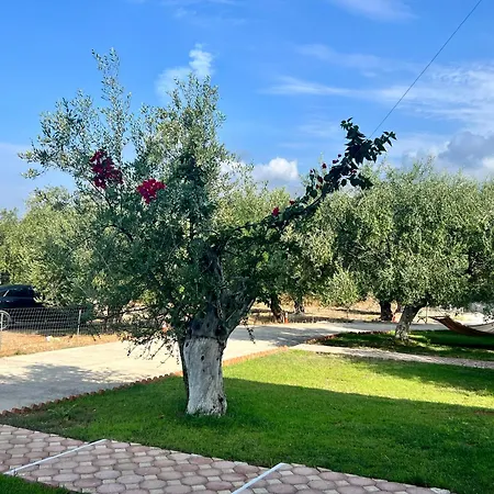 Aria Guest house Himare